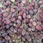 red Grape